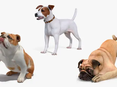  Small Dogs Rigged for Cinema 4D Collection 