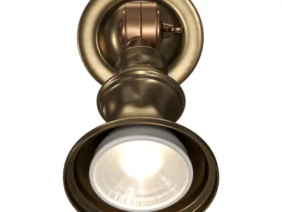 Accra Traditional Adjustable Brass Wall Spotlight 3D model