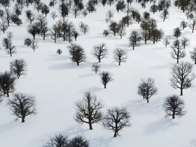 animation winter forest ver-1-0 3D model