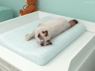  Ragdoll Cat Lying Pose Fur for Cinema 4D 