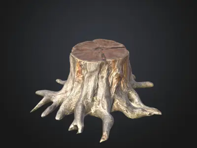 Old tree stump 3D model