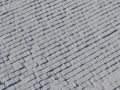 Hand Split Cedar Shingle Roof  Texture