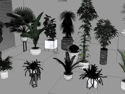 Floor potted collection Low-poly 3D model