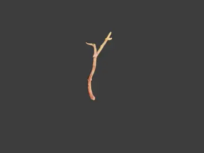 Free PBR Stick twig dead broken Scan Free low-poly 3D model