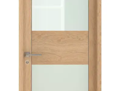 Door-024 interior door in oak with frosted glass 3D model