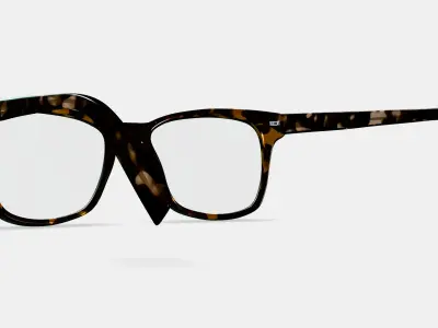 Landon Eyeglasses in Whiskey Tortoise 3D model