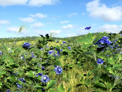  meadow spring  3D model