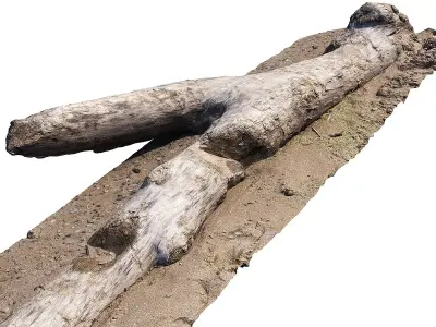 Log on the sand  3D model