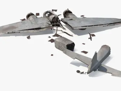  Twin Engine Bomber Wreckage Old 