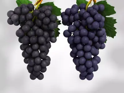 Grapes Black and Blue Low-poly 3D model