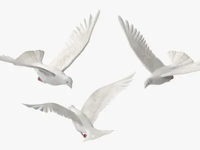  Lowpoly White Dove in Flight 