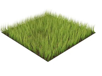 Grass 3D model