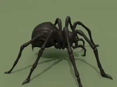 Fantasy Spider 3D model