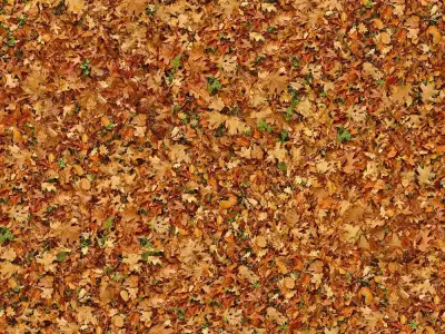 Seamless Autumn Leaf Pile Texture  Texture
