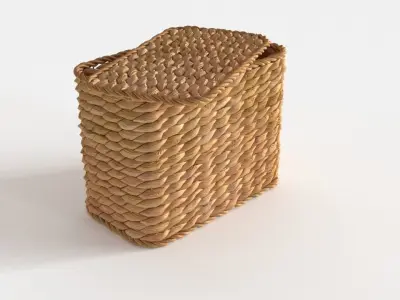 Pottery Barn SAVANNAH UTILITY BASKETS 3D model