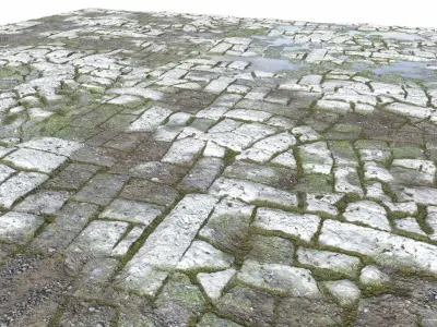 Old Mossy Floor Seamless 4 PBR Texture