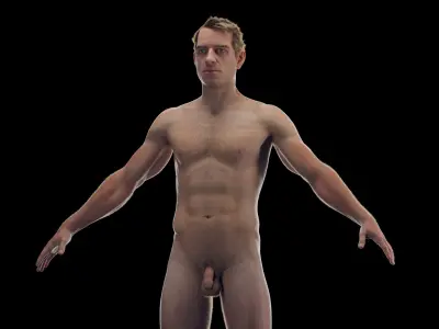  Male Body Skeleton Ligaments and Muscles Static 