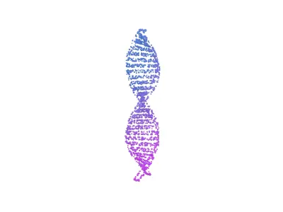 DNA Molecule v4 014 3D model