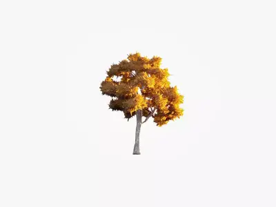 Low Poly Tree Autumn Stylish Low-poly 3D model