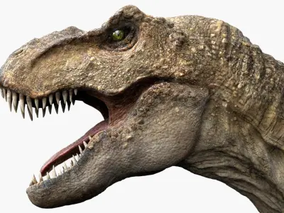 Tyrannosaurus Rex (Animated) (Rigged) 