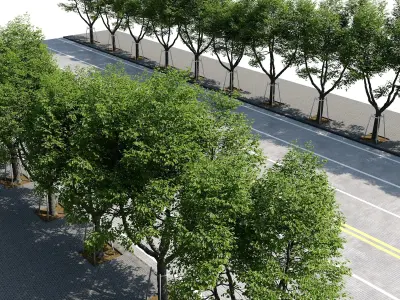 street 2 3D model