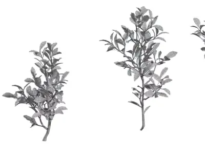 Photorealistic Shrub Branch Pack Low-poly 3D model