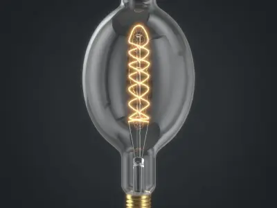 Light bulb 25 3D model