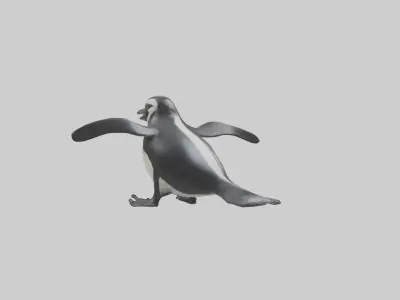Galapagos Penguin sliding model Low-poly 3D model