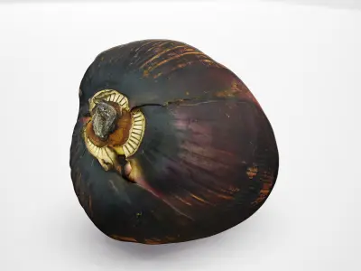Banana Flower - Photorealistic Scan Low-poly 3D model