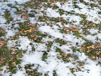 Autumn soil covered in snow 3D model