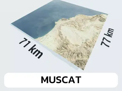 Muscat Oman City Landscape 3D Model 3D model