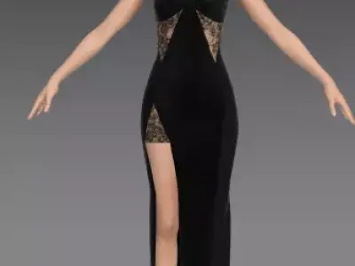 Lace detail and slit skirt dress heart neckline belt paneled Low-poly 3D model