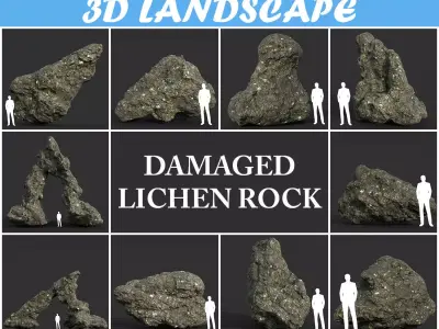 Low poly Damaged Lichen Rock 190907 Low-poly 3D model