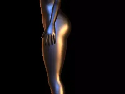 women anatomy 3D model