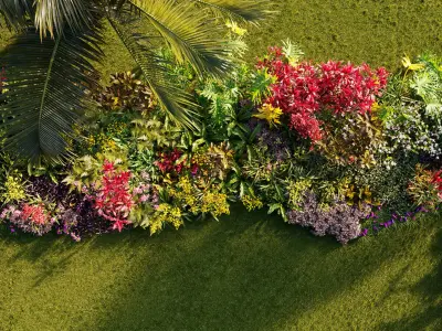  Orchid plant collection GrowFX and Mesh 