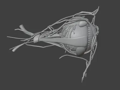 3D Model of Complete Eye Anatomy 3D print model