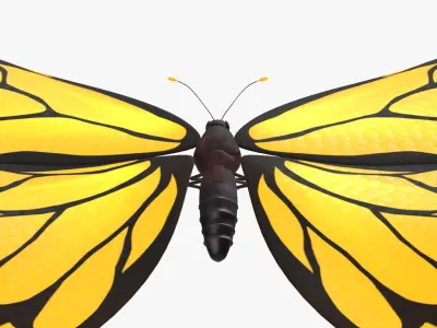  Butterfly with Flying Animation 