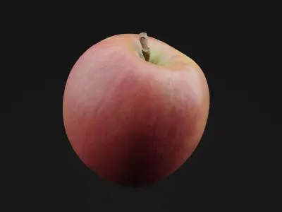 Apple Fruit Free 3D model