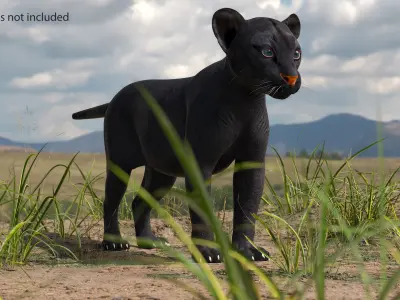  Black Panther Cub Rigged for Cinema 4D 