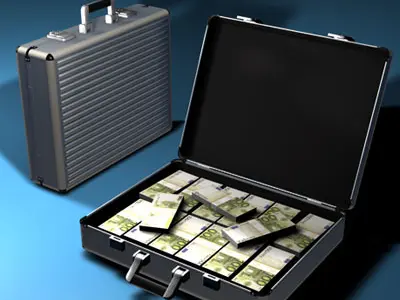 Suitcase with euro 3D model