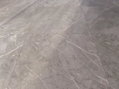 Marble Floor Set 66 Texture