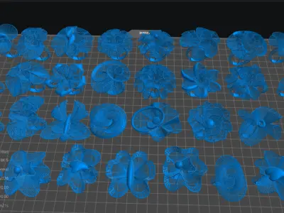 31 NEW FLOWERS RINGS RING HIGHT QUALITY JEWELERY 3D print model purchase
