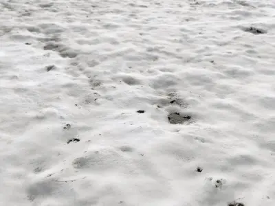 Snow ground Scan 10k 3D model