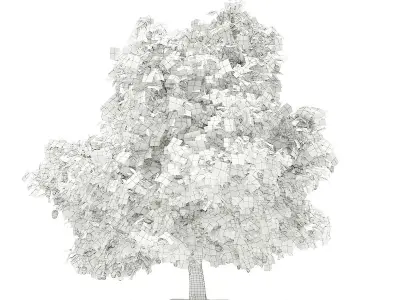 Mango Tree with Fruits 3D model