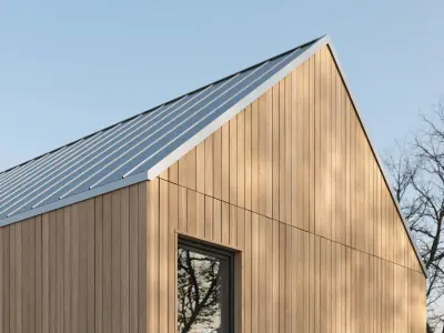 Siberian larch wood cladding texture Texture