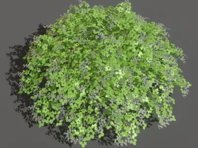 Blackberry Bushes and Hedges with Geometry Nodes Low-poly 3D model