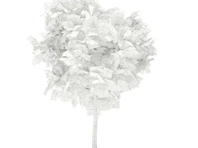 Common Fig Tree 3D model