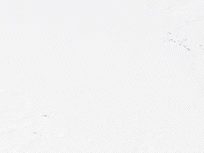 Manaus Brazil City Landscape 3D Model 3D model