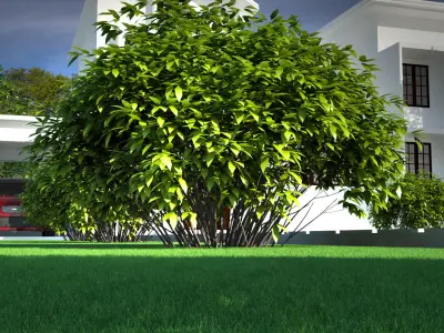 exterior house  Low-poly 3D model