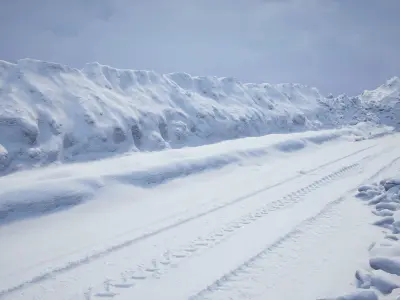 Big Snow collection  2022  Low-poly 3D model